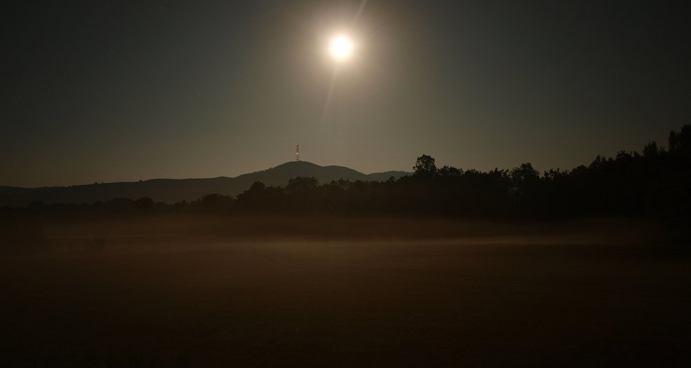 туман в лучах полной Луны / the fog in full Moon`s lights