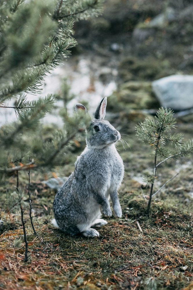 Photograph by Елена Абрамова