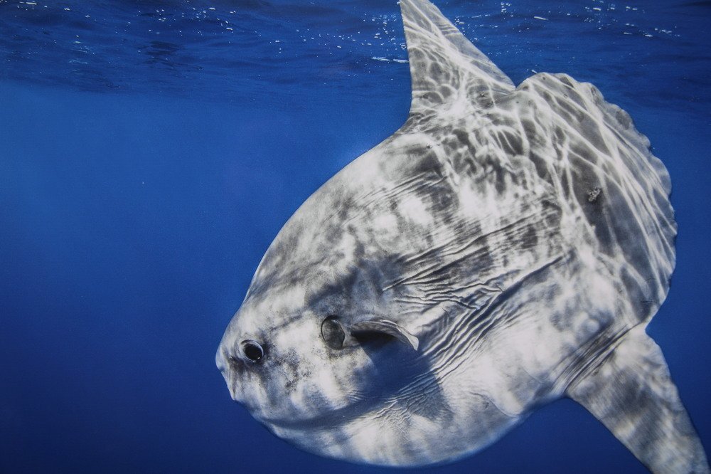 Photograph by Сергей Лобозов