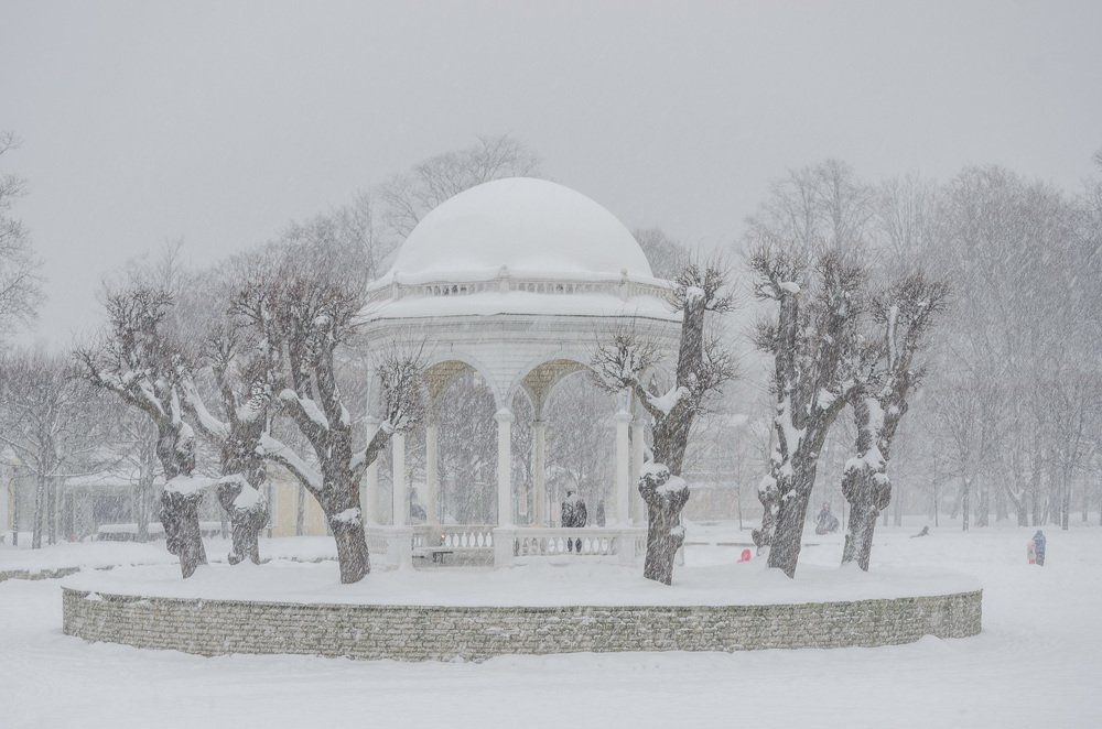 Фотография автора Юрий Макаров