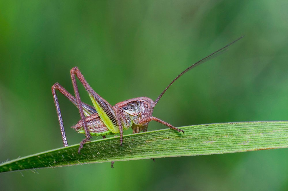 Photograph by Mahdi Sarikhani