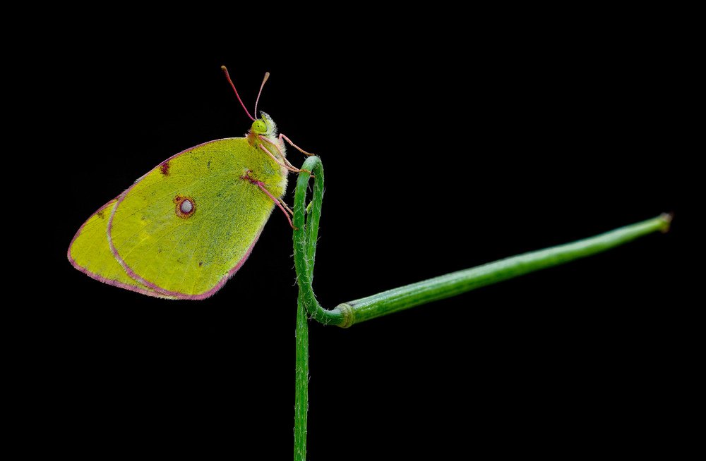 Photograph by Mahdi Sarikhani