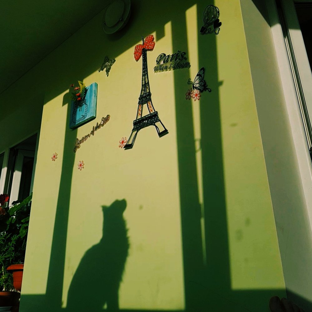 Photograph by Елена Руснак