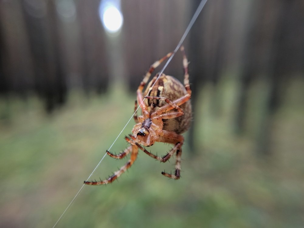 Photograph by Наиль Шакиров