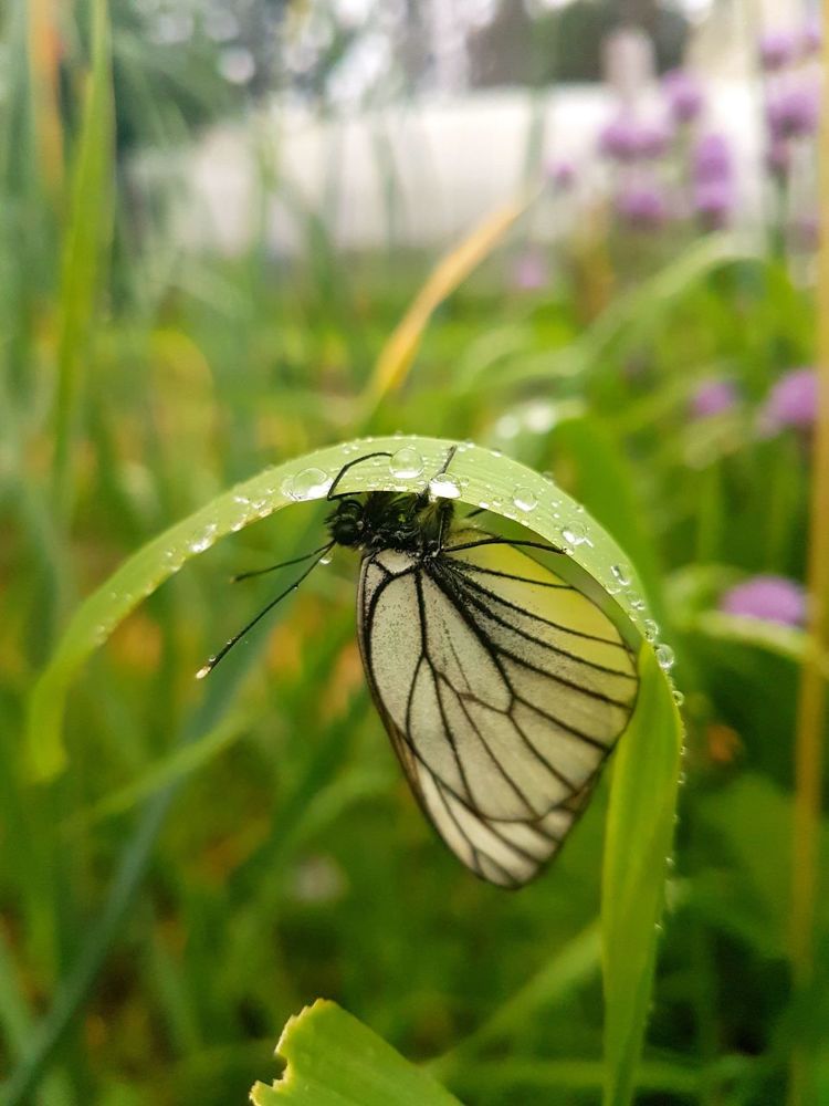 Photograph by Мария Глотова