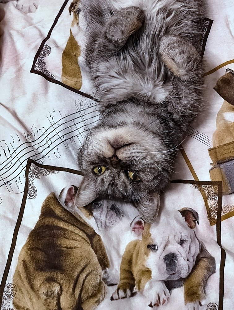 Photograph by Татьяна Чернышова