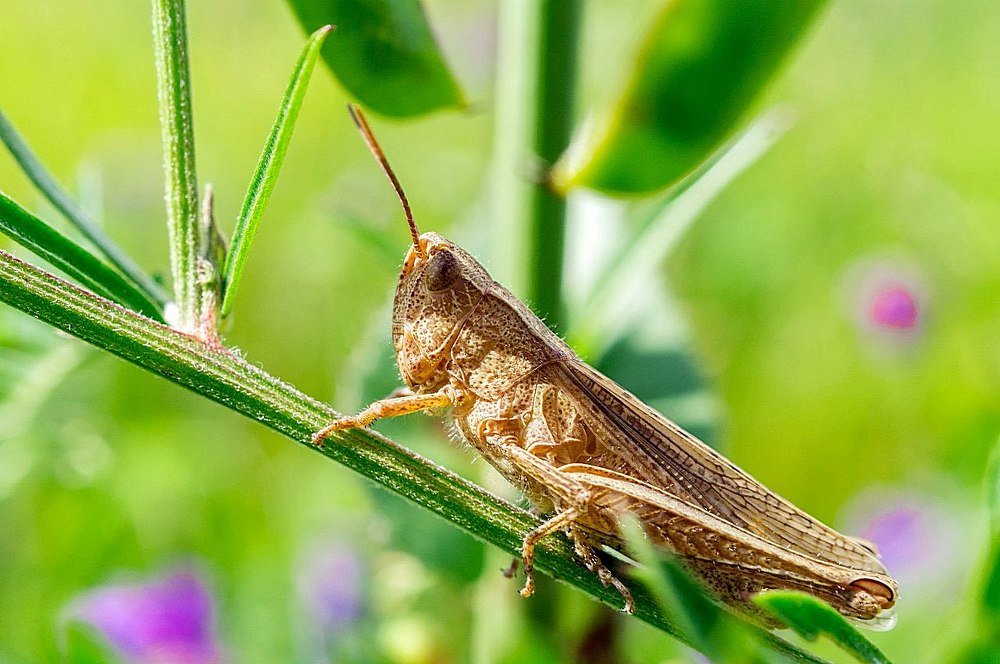 Фотография автора Юрий Корнеев