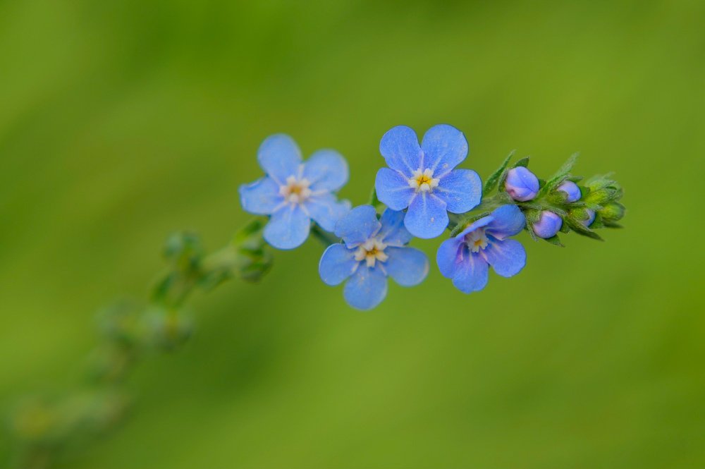 Photograph by Mahdi Sarikhani