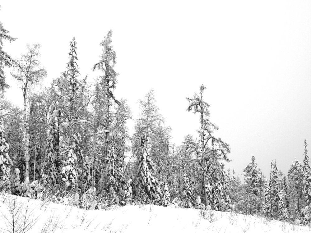 Photograph by Дмитрий Васючков