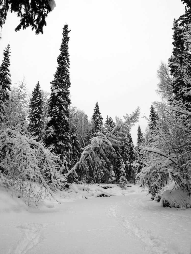 Photograph by Дмитрий Васючков