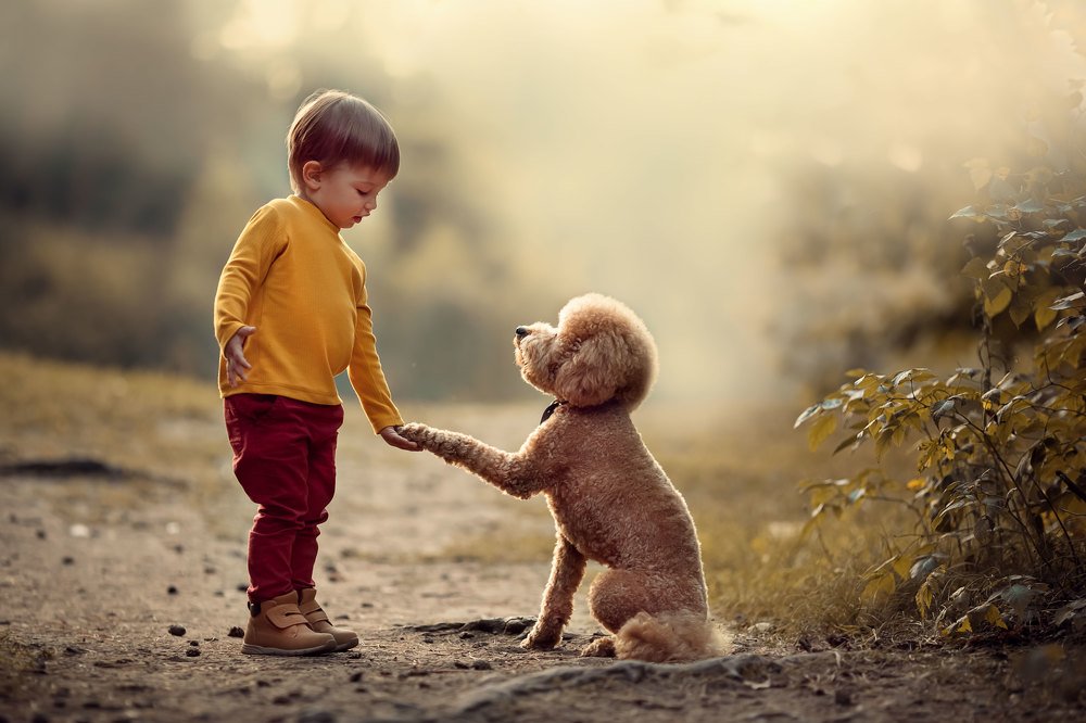 Photograph by Юлия Храпова