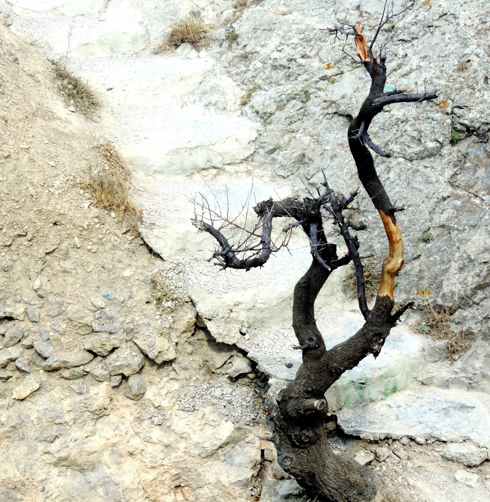 Красота не умирает!