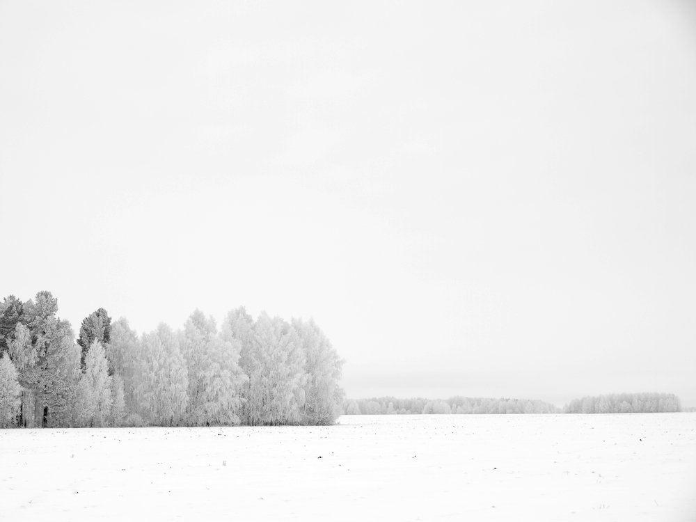 Photograph by Дмитрий Васючков