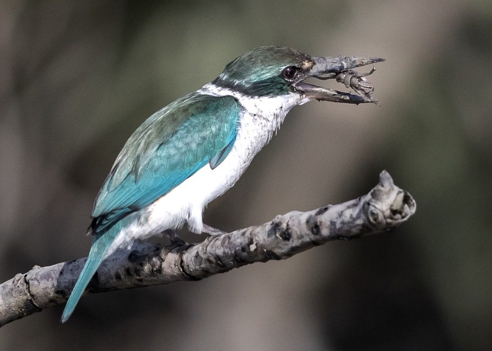 Photograph by Lionel falcao