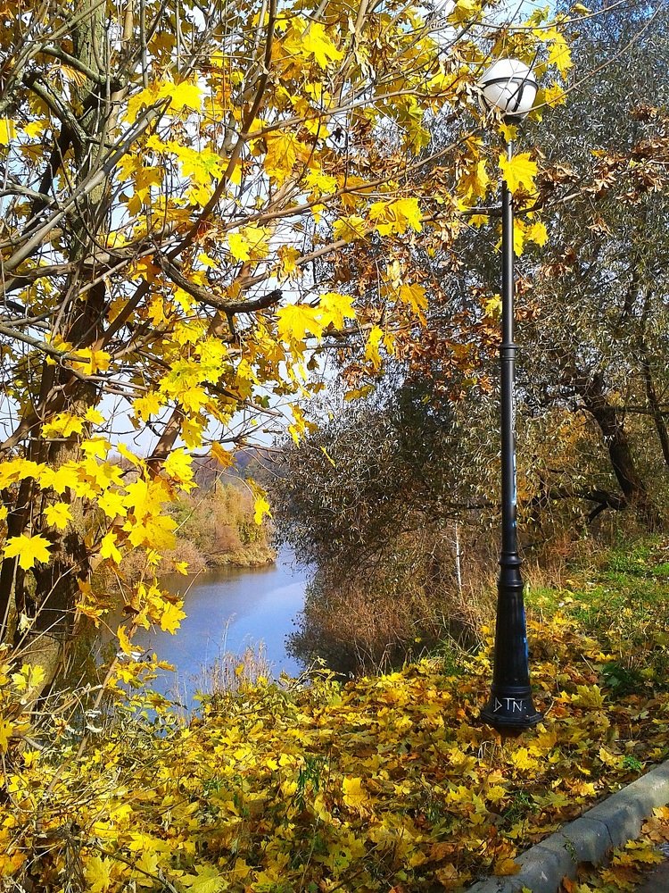 Photograph by Анастасия Ермоленко