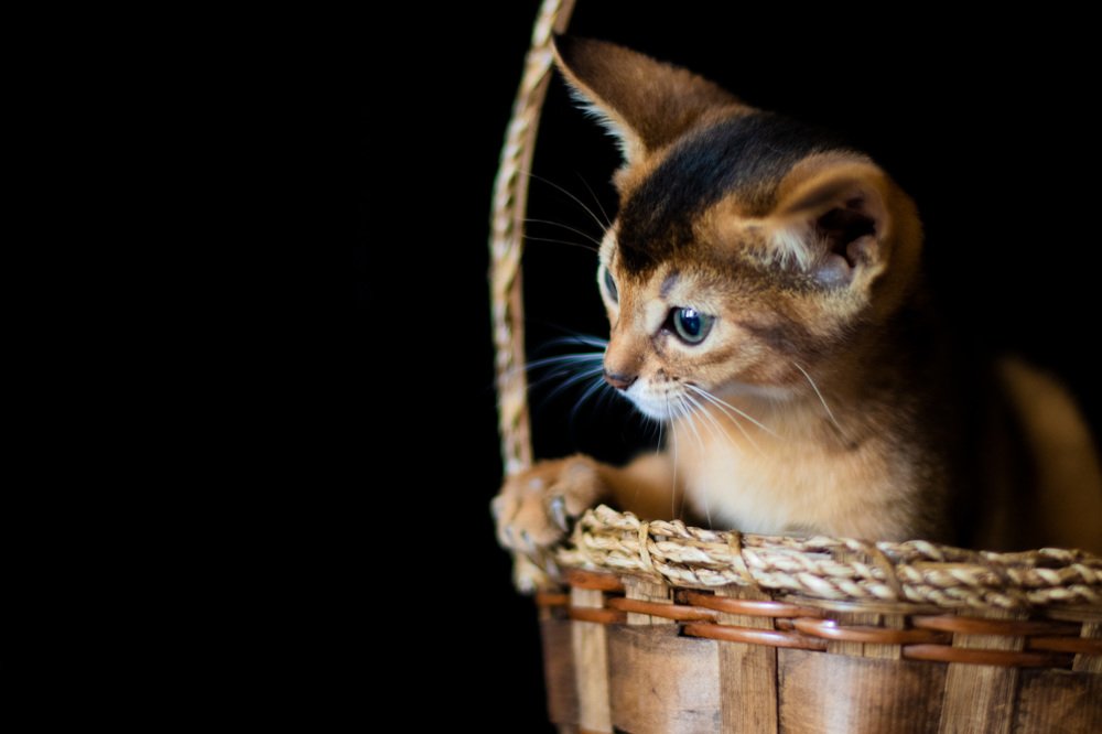 Photograph by Екатерина Будько