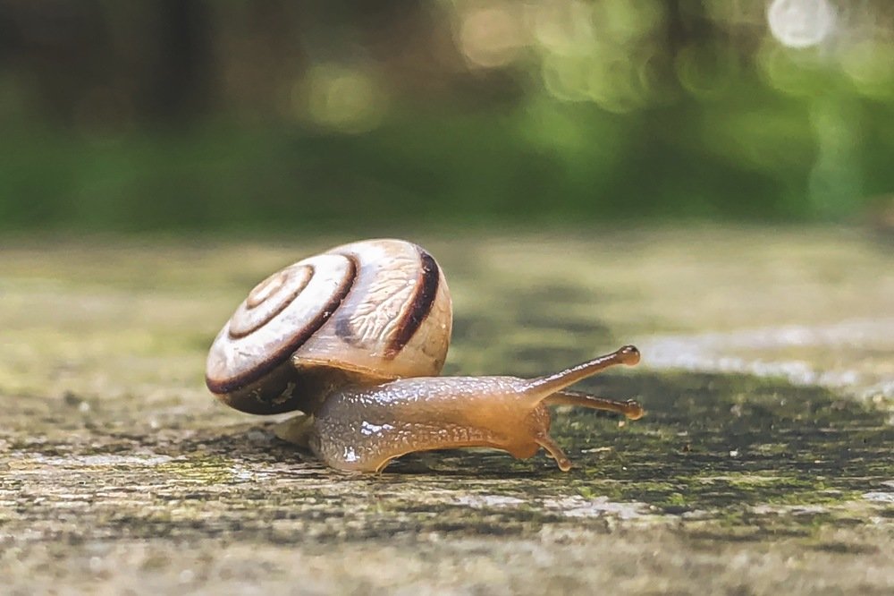 Photograph by Lionel falcao