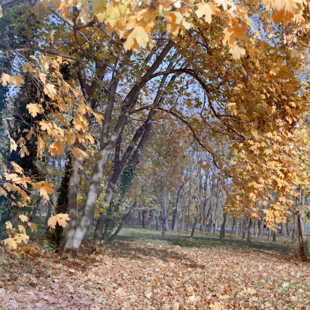 Photograph by Evgeny Ivanov