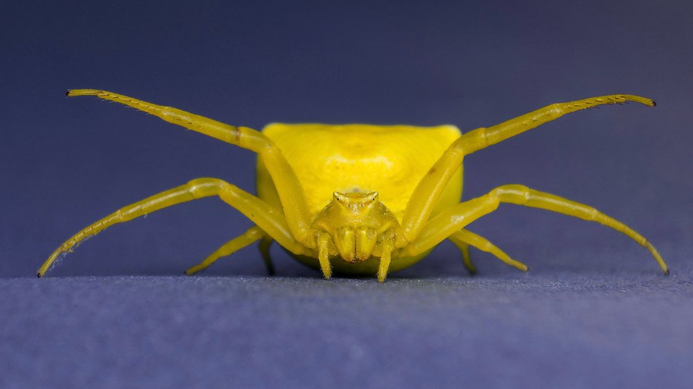 Photograph by Mahdi Sarikhani