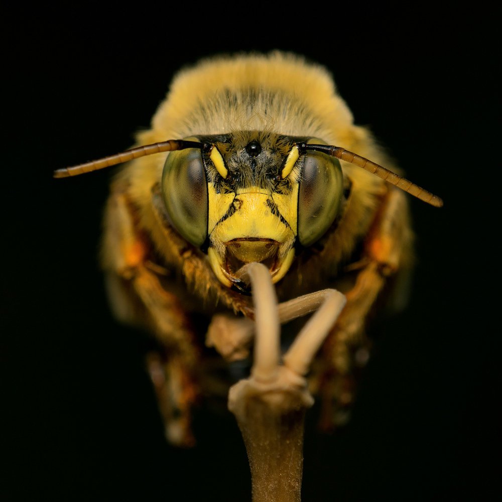 Photograph by Mahdi Sarikhani