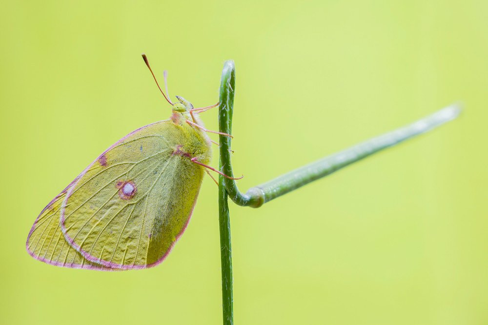 Photograph by Mahdi Sarikhani