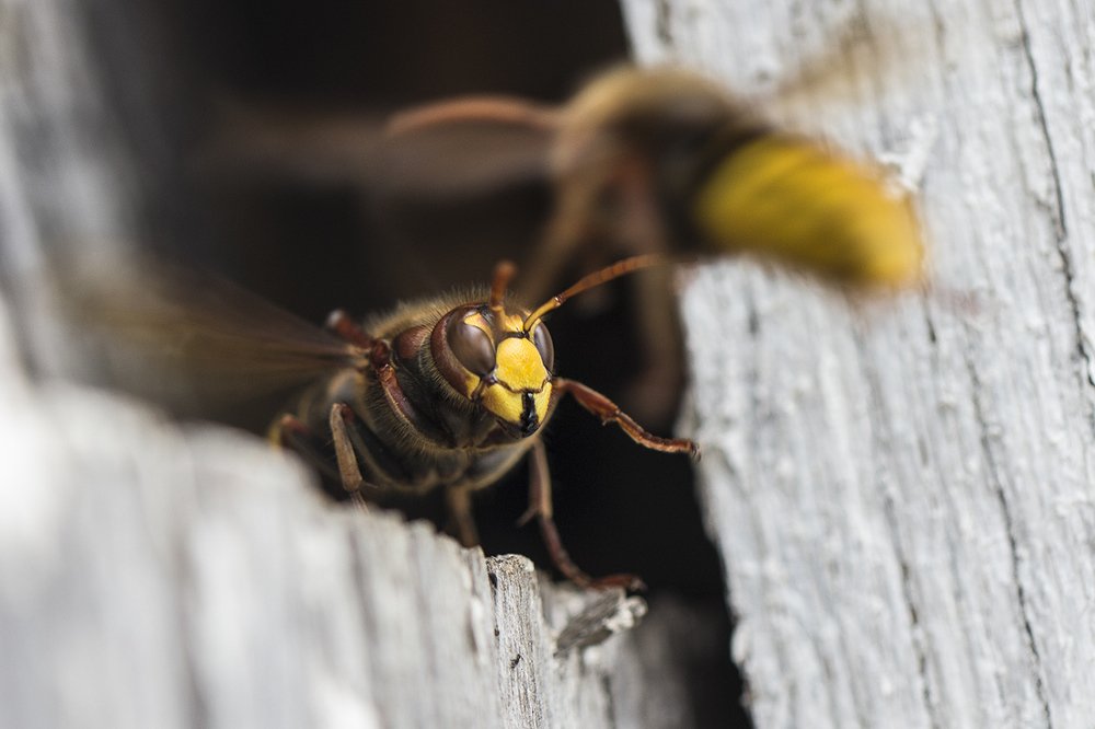 Photograph by Евгений Барзенков