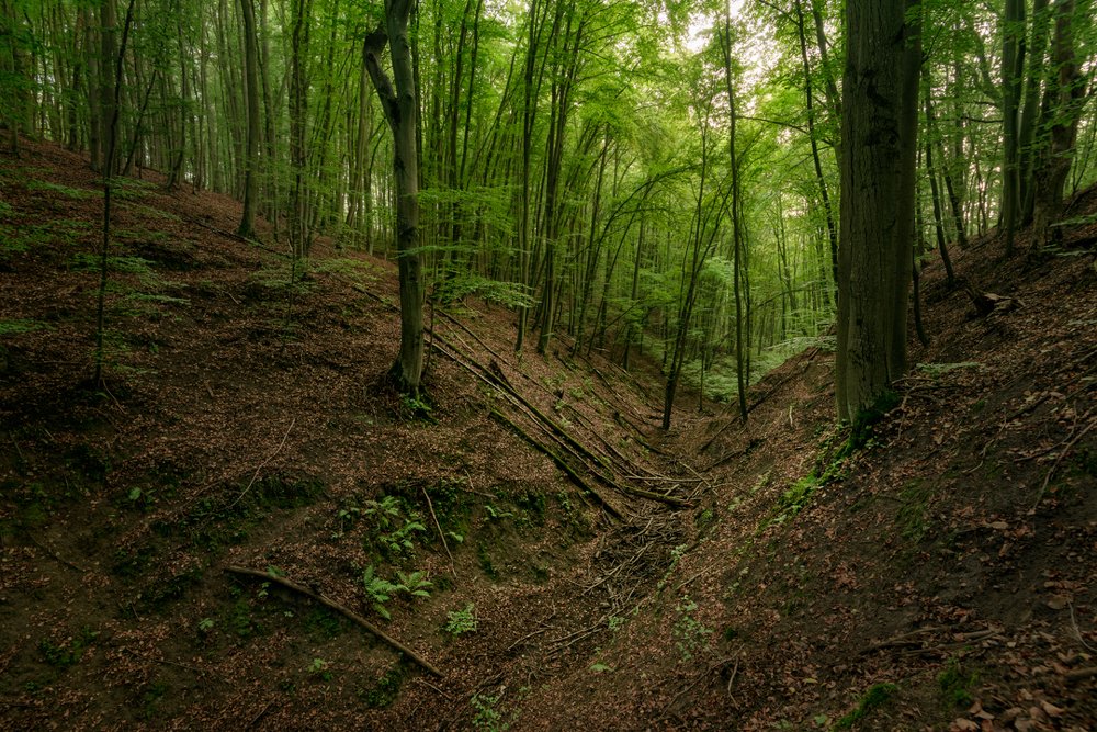 Photograph by Patryk Janota