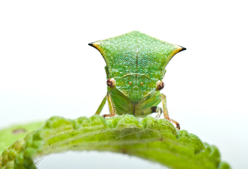 Photograph by Владимир Богданов