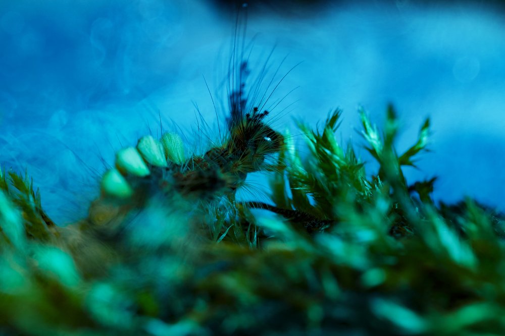 "Свой стиль, или по дороге к парикмахеру"