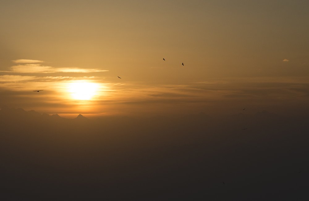 Фотография автора Vakhtangi Janjgava