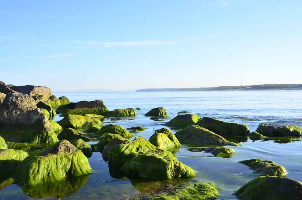 Photograph by Galina Baranovskaja