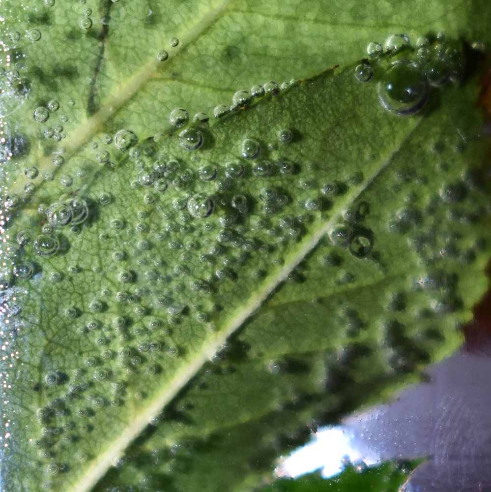 Photograph by Наталия Бочкова