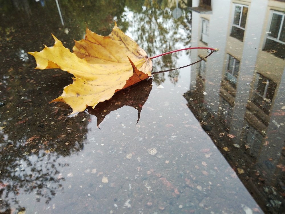 Photograph by Марина Иванова