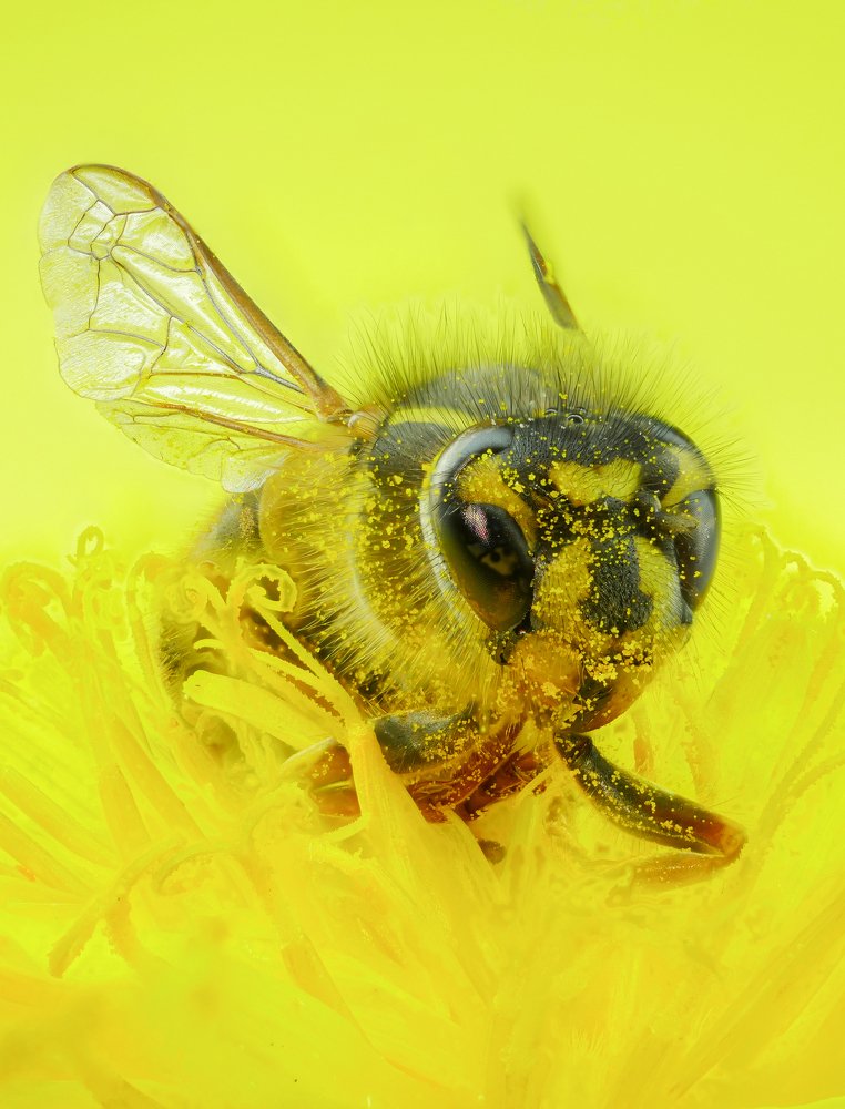 Photograph by Karim Qubadi