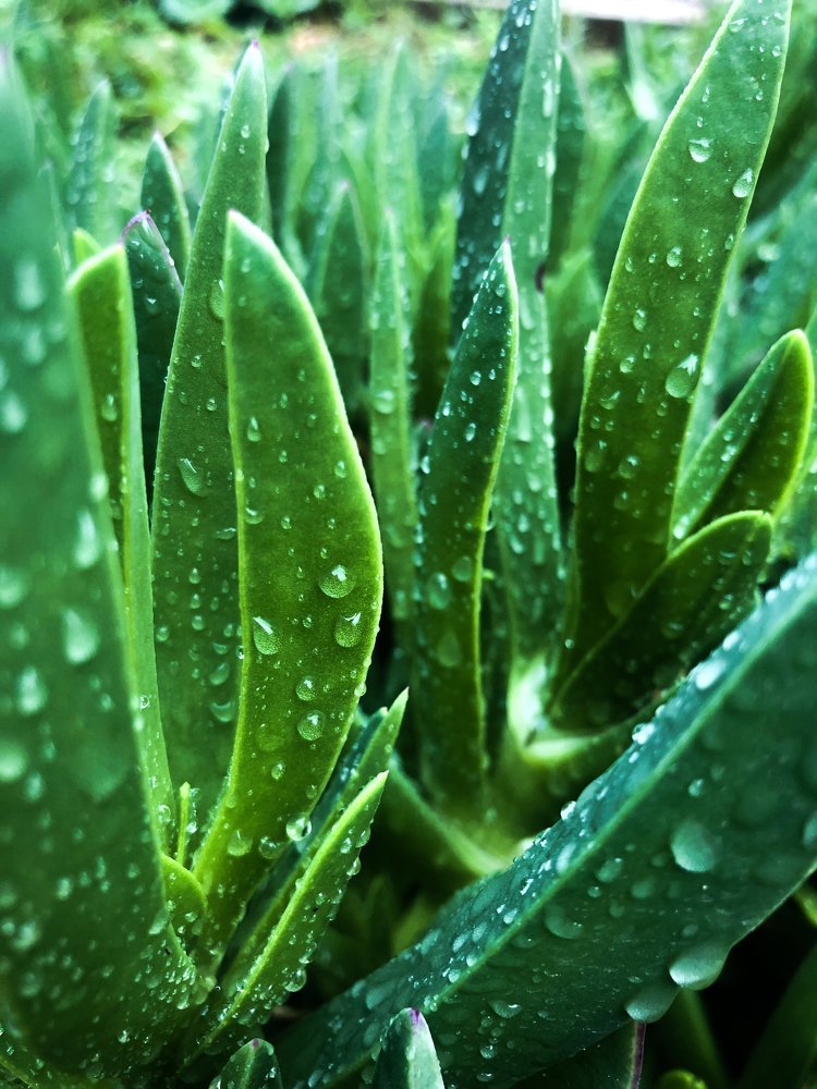 Фотография автора Mohsen Tavakoli