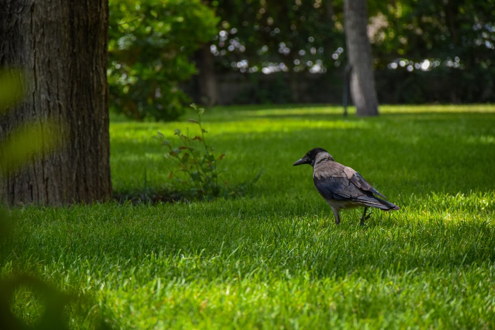 Фотография автора Mohsen Tavakoli