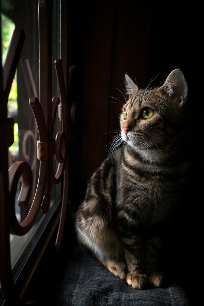 Photograph by Татьяна Гореславец