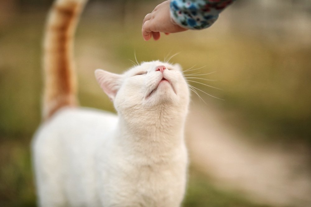 Photograph by Анна Лебедева