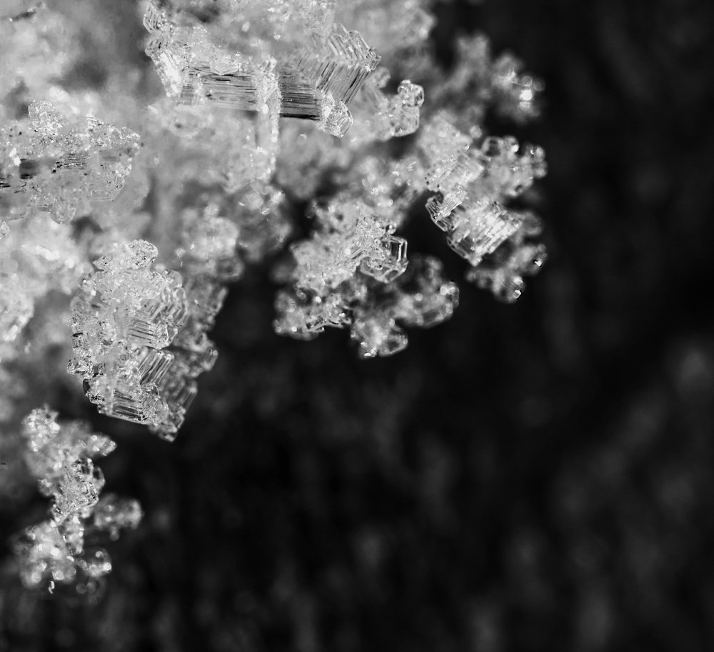 Photograph by Армашов-Тельник Григорий