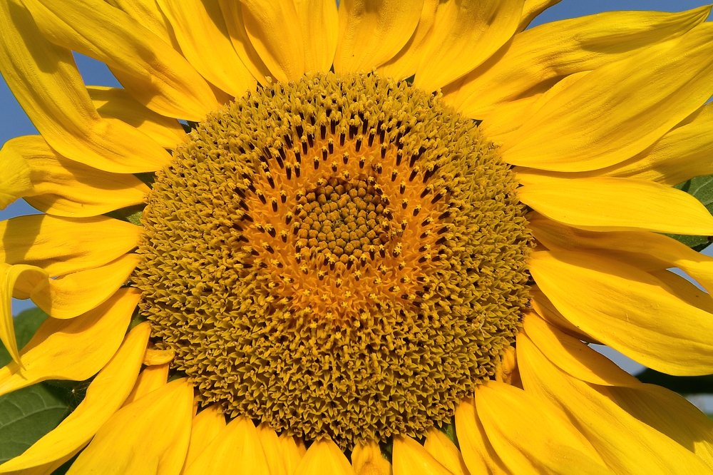 Фотография автора Олег Набровенков