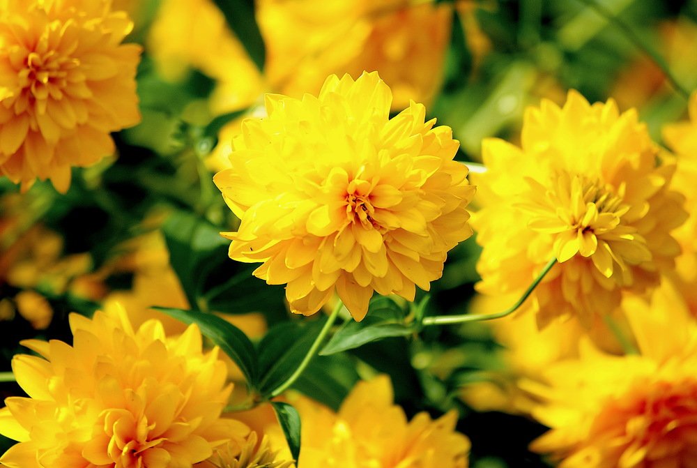 Фотография автора Олег Набровенков