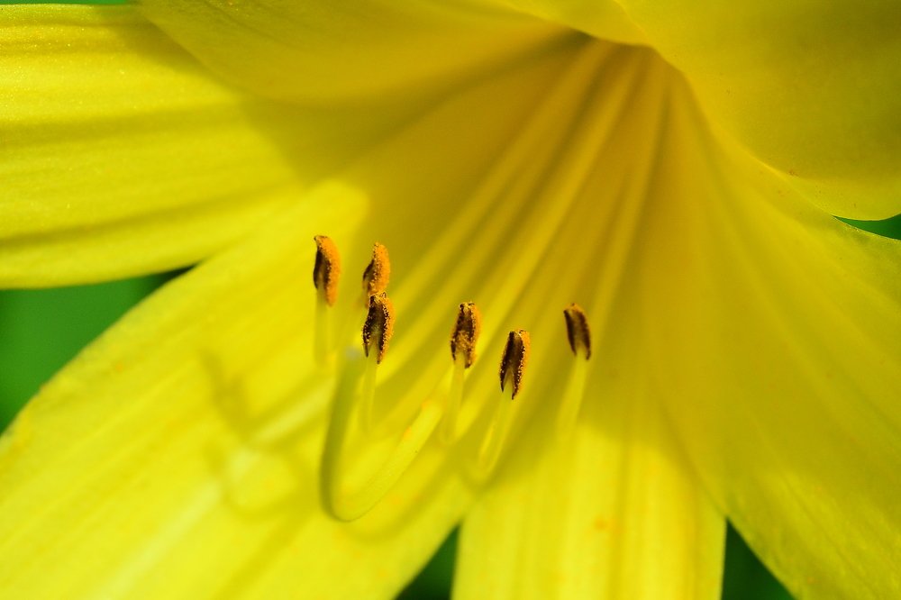 Фотография автора Олег Набровенков