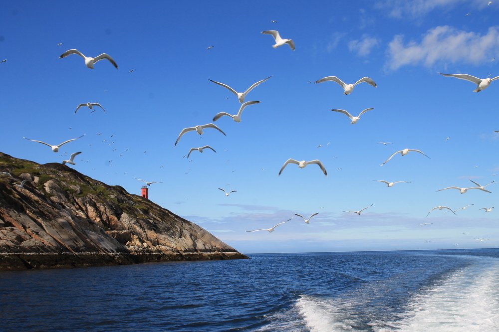 Photograph by Филиппов Олег