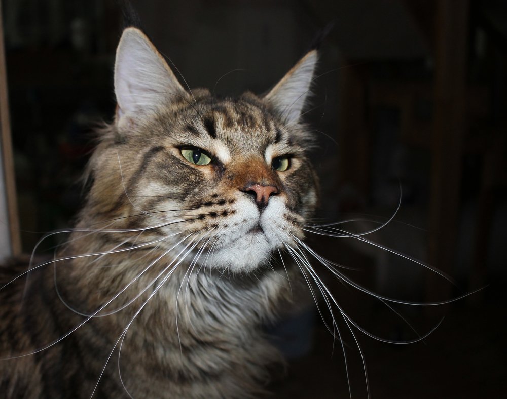 Photograph by Филиппов Олег