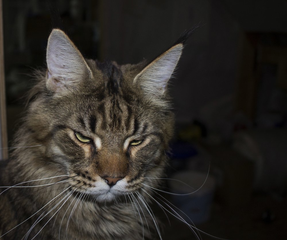 Photograph by Филиппов Олег