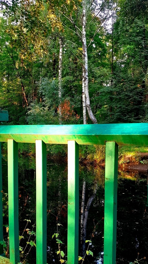 Photograph by Любовь Макарова