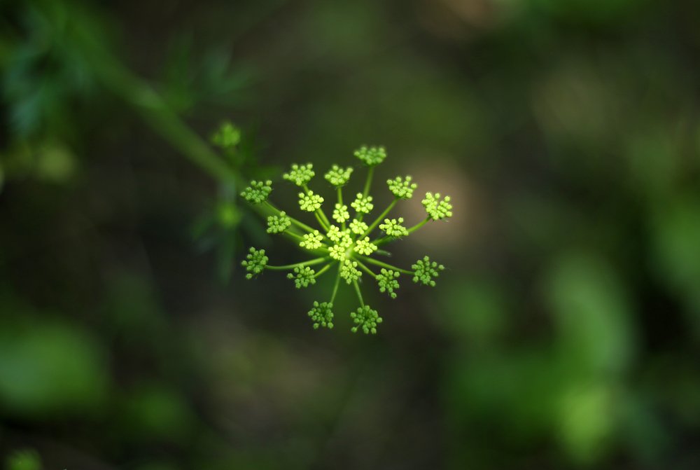 Photograph by Наталья Жалнина
