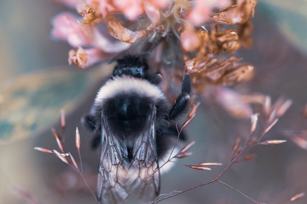 Фотография автора Маргарита Басова