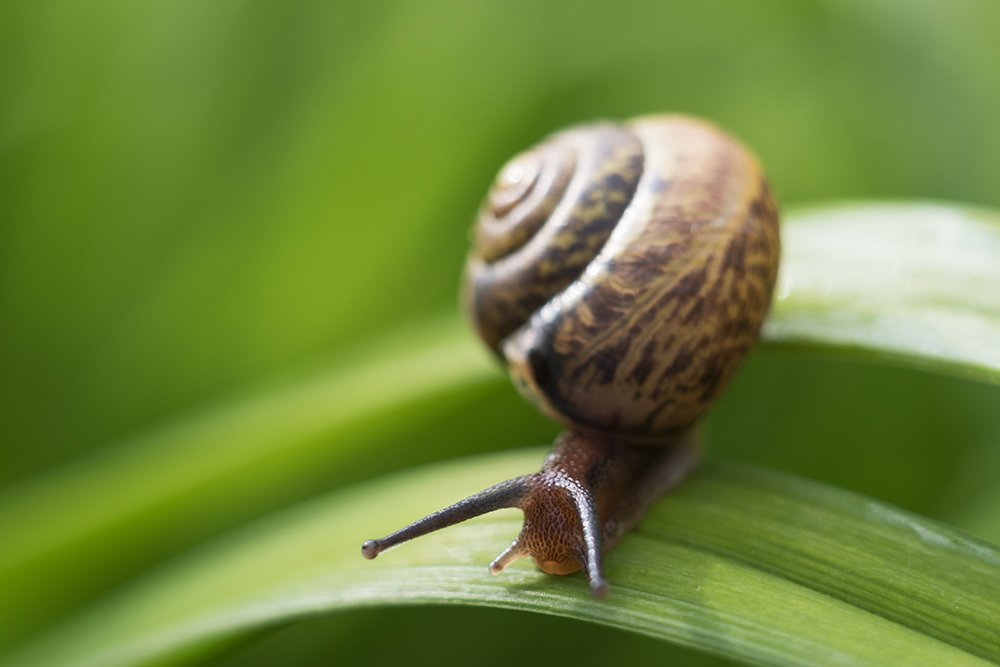 Photograph by Maria Tripoten