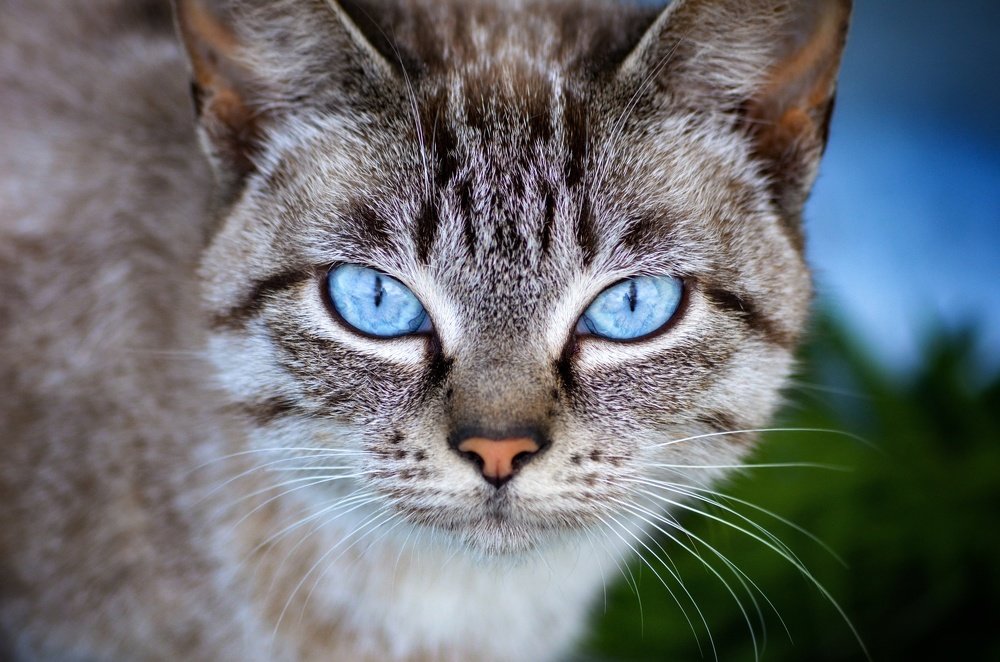 Photograph by Вероника Романенко